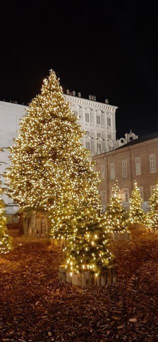 Romantica Mansarda Nel Cuore Di Torino ภายนอก รูปภาพ